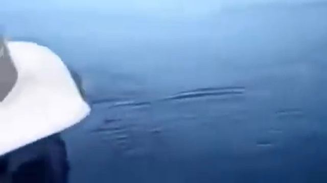 Смотреть Рыбалка В Таиланде 2014 / Www.Adventure-Fishing.Ru - Морская Рыбалка В Паттайе