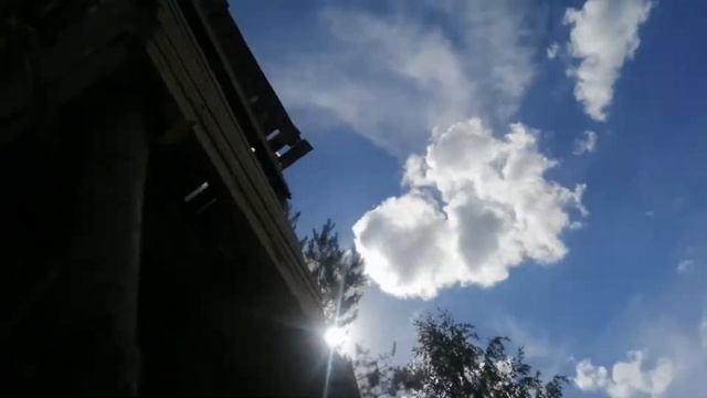 Биотехния.Чесалка для кабана, овёс для медведя, новый лабаз. смотреть онлайн