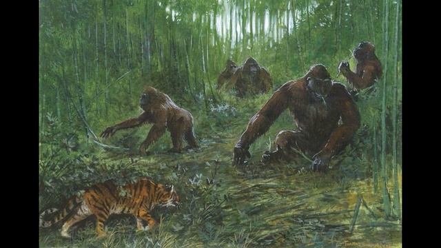ГИГАНТОПИТЕК | Самая большая обезьяна | Гигантский примат
