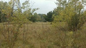 Страйкбольный миномет, прилет, вид от получателя, накрывает квадрат.