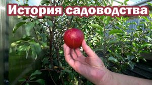 Про историю садоводства