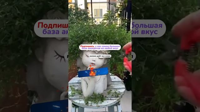 Анекдот про корову? #анекдот смотреть онлайн