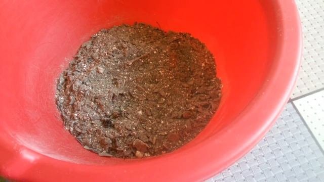 Органическое удобрение для комнатных растений