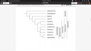 Clase Diversidad Vegetal