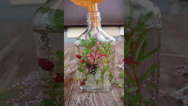 Сохраняем растения живыми при помощи воды и глицерина. Простой способ создания красоты смотреть онлайн