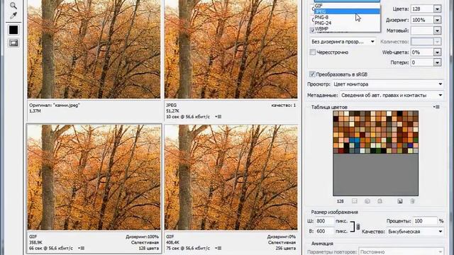 Сохранение и оптимизация для Web в Adobe PhotoShop CS5 (50/51) смотреть онлайн