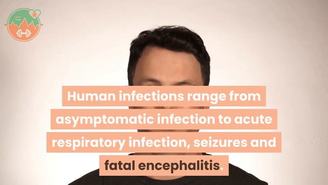 What is the Nipah virus ? Is It Dangerous more than Corona Virus ?