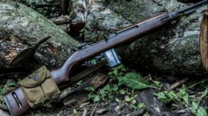 В чем разница между карабином и винтовкой