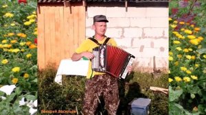 Есть красивая одна девушка на земле(гармонь)