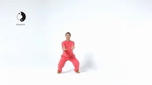 Tai Chi Qigong Shibashi Set 2 (Follow along) _ Mirrored version with breathing timing _