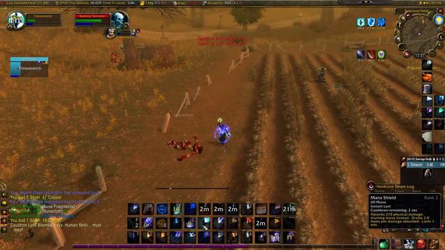 53 Mage Hardcore World of Warcraft NEAR Death Western Plaguelands смотреть онлайн