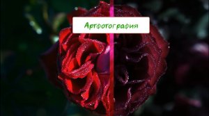 Две минуты весны – Артфотография – До и После