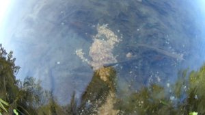 Нужно ли "клипсоваться" при ловле рыбы ФИДЕРОМ???