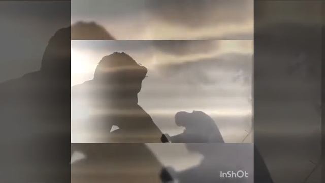 Эдуард Асадов... Она вошла совсем седая... смотреть онлайн