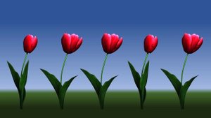 Развиваем зрительную память