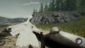 The Forest: как добыть перья?