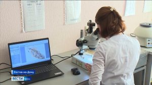 В реке Сал Ростовской области ученые провели контроль численности популяции раков