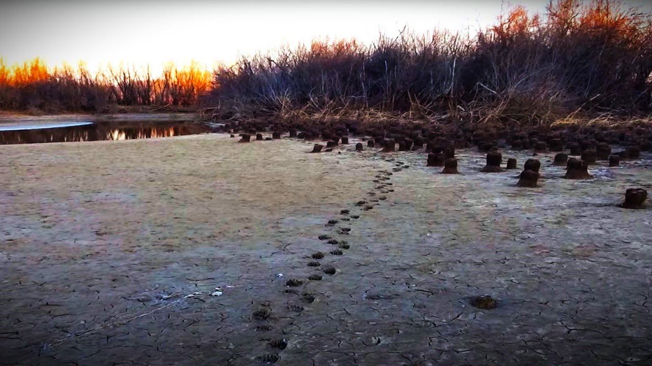 Медведь подошел к палатке. Связи нет. Рыбалка Охота Осенью на реке Амур смотреть онлайн