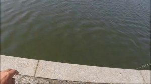 Ловля на пенопласт - тапочки . Воистину снасть на крупного карася ! Репортаж с парапета . .