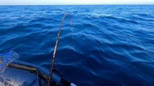 Рыбалка в море. Троллинг симы. Уссурийский залив. Май 2022 г.