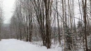 Поселок Кировский