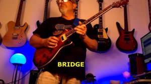 PRS SE 245 STANDARD * DO YOU REALLY NEED A GIBSON LES PAUL?? 🤔