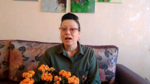 ЦВЕТУЩИЙ КАЛАНХОЭ В ДОМАШНИХ УСЛОВИЯ | ЛУЧШИЙ РЕЗУЛЬТАТ ЗА МЕСЯЦ