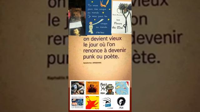 le petit Prince devrait connaitre cette chanson merci à vous Noir Désir et Bertrand Cantat