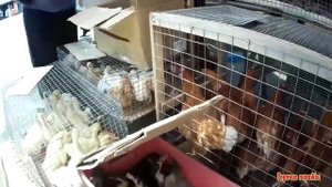 Блошиный рынок г  Владикавказ