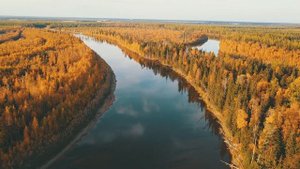 Пякупур. Северная река. The northern river.