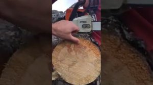 Кругляк. Круглый лес. Сосна, лиственница