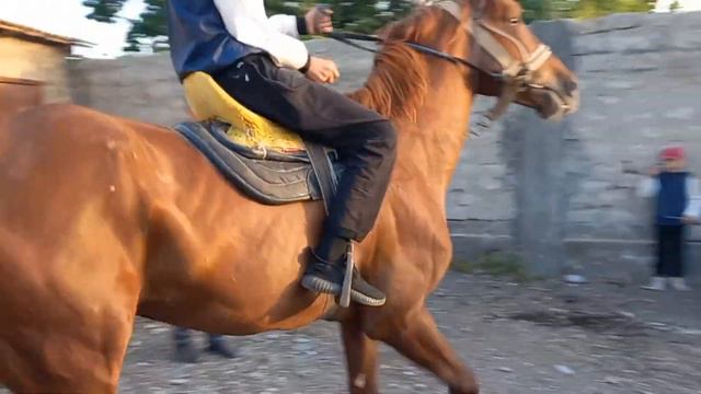 АСП👉🐎 БОЗОРИ ХУДЖАНД СПИТОМЕН НОВ БОЗОРИ КАЛОН ВА АСПИ Фуруши Мондем Бо Аспи Бузкаши Оча БачаНавор,