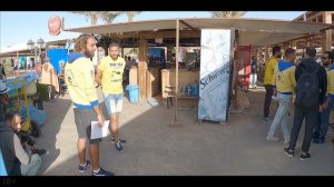 Сколько стоит дайвинг в Египте? Путешествие на Красное море