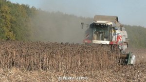 Комбайн Вектор 410. 11 лет в работе - полёт нормальный. Ранний Вектор на обмолоте подсолнечника