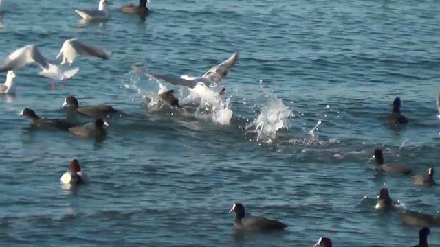 Погода 5 декабря Геленджик 2020 смотреть онлайн