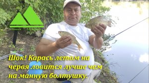 Поймал карася и несколько хороших красноперок на червя и манную болтушку