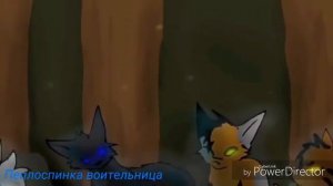 [Warriors Cats] | Коты Воители | Ласточка и Грач | Е,Бой | Заказ