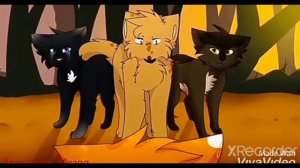 Коты-Воители Кленовница, Клип "Savage"