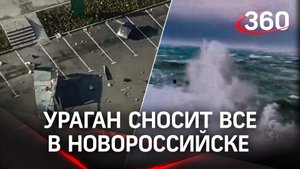 Ураган в Новороссийске: ветер 30 м/с, двухметровые волны, поваленные деревья и столбы. Кадры ЧП