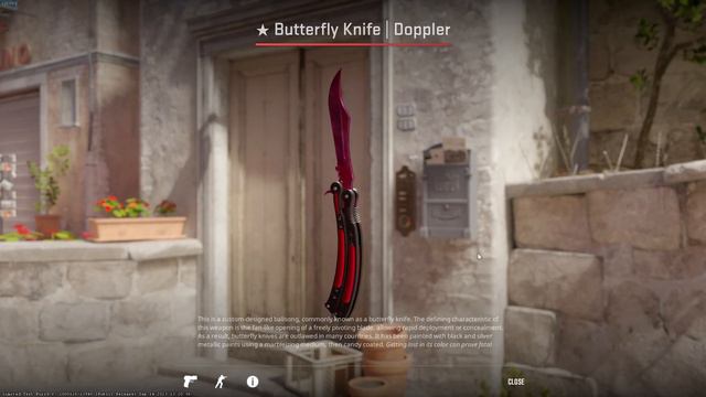 CS2 Butterfly Knife | Doppler (Phase 2)[Rank.1 PinkGem Seed# 300 ] W Count: 1