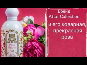 Непредсказуемая Rosa Galore от Attar Collection