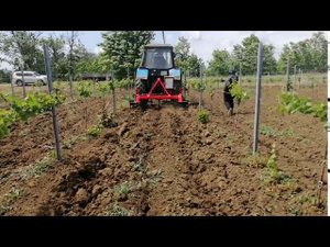 Культиватор виноградниковый межкустовой обработки РОСИЧ КВ-3 производства БДТ-АГРО с МТЗ 1221
