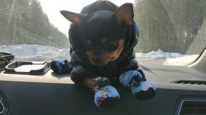 Едем задом наперед.