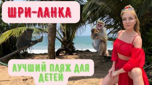 Шри ланка 2022! Джангл бич! Унаватуна! Обезьяны на пляже!