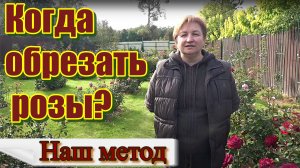 Когда обрезать розы?