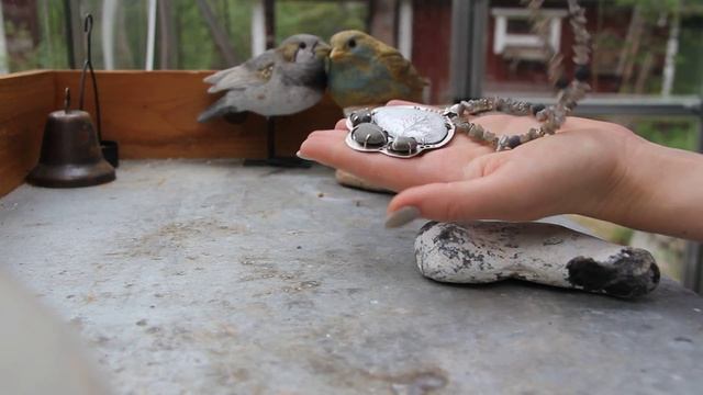 Колье лабрадор, агат, морские камушки и горячая эмаль смотреть онлайн