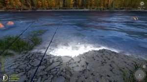 Как работает физика прикормки на течении? - Русская Рыбалка 4