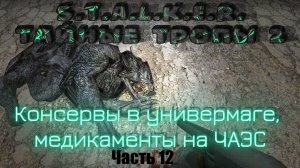 S.T.A.L.K.E.R. Тайные Тропы 2. Часть 12: Консервы в универмаге, медикаменты на ЧАЭС.