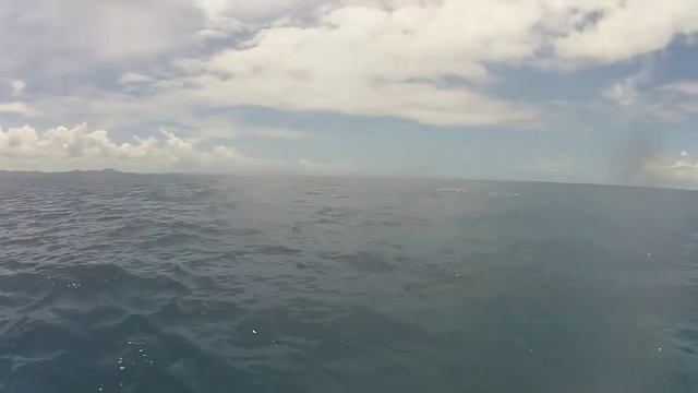 Marlin from kayak смотреть онлайн