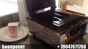 Roller Grill вафельница GES 80. Биопроект. Набережные Челны